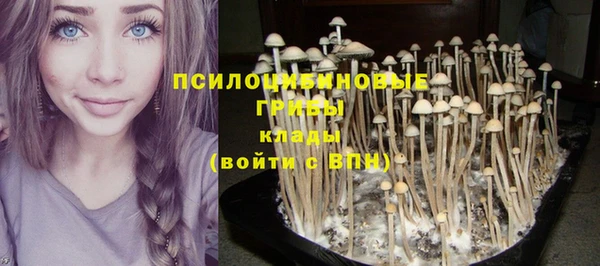 гидра Алексеевка
