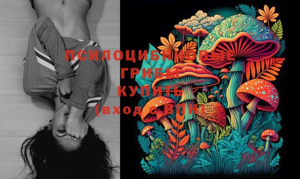 mix Абинск