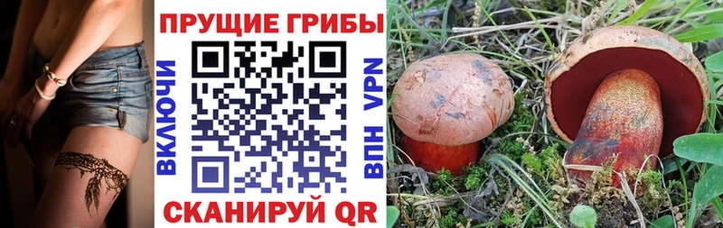 Галлюциногенные грибы Psilocybine cubensis  цены   Шахты 